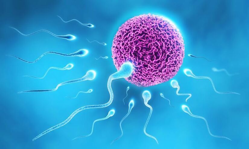 Le sperme entre dans la composition des lubrifiants masculins