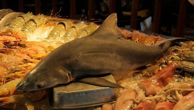 La viande de requin augmente l'efficacité