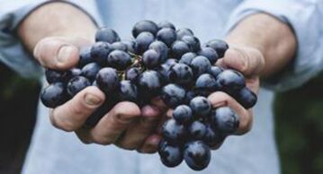 Les raisins aident à renforcer les érections